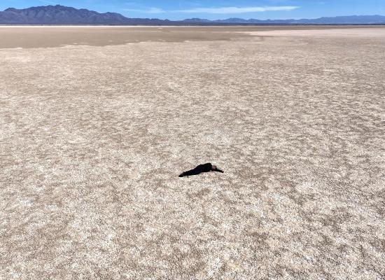 Mapping Familiar Territories, Charting New Paths (from Culture Nerds: a CBI Circle)