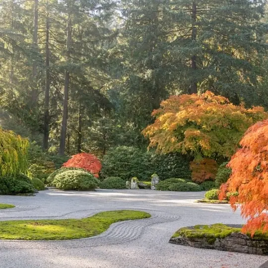 Fall Colors  in the Portland Japanese Garden (from Culture Nerds: a CBI Circle) - image