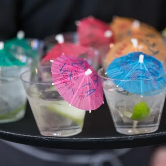  An Evening of Joy and Music in Support of WRJ YES Fund